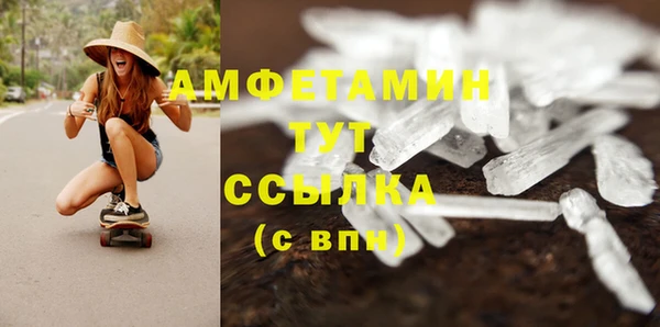 ПСИЛОЦИБИНОВЫЕ ГРИБЫ Козловка