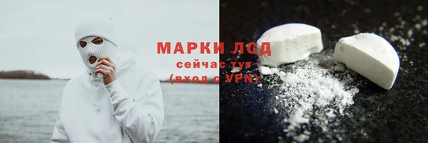 ПСИЛОЦИБИНОВЫЕ ГРИБЫ Козловка