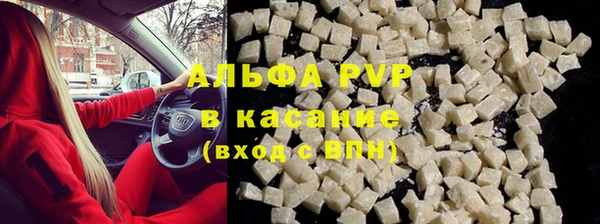 ПСИЛОЦИБИНОВЫЕ ГРИБЫ Козловка