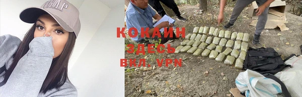 каннабис Кодинск