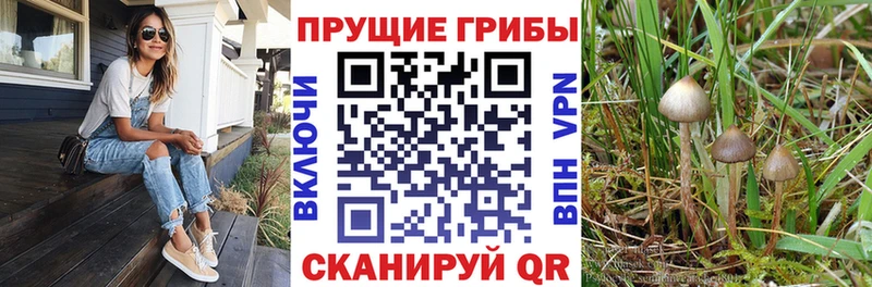 Галлюциногенные грибы мухоморы  Волгоград 